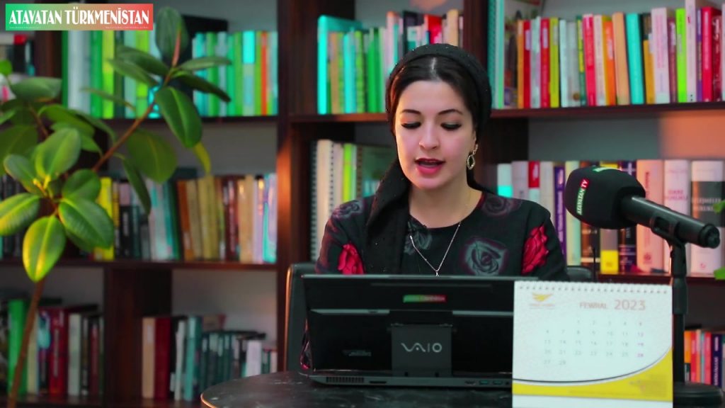 Türkiýede bilim alýan ýaşlara uniwersitetleriň online bolmagynyň täsiri
